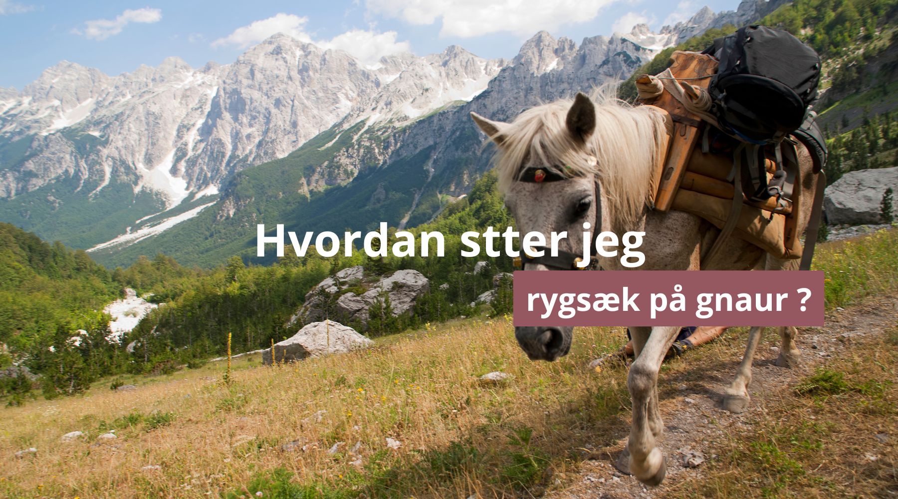 Hvordan stter jeg rygsæk på gnaur ?