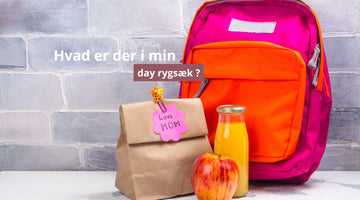 Hvad er der i min day rygsæk ?