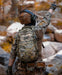 Militær rygsæk multicam