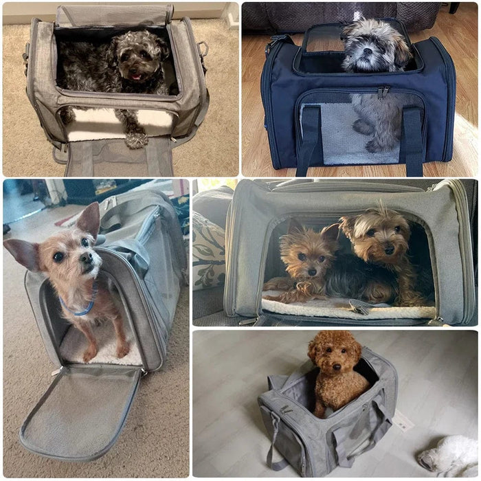 Rygsæk hund 15 kg